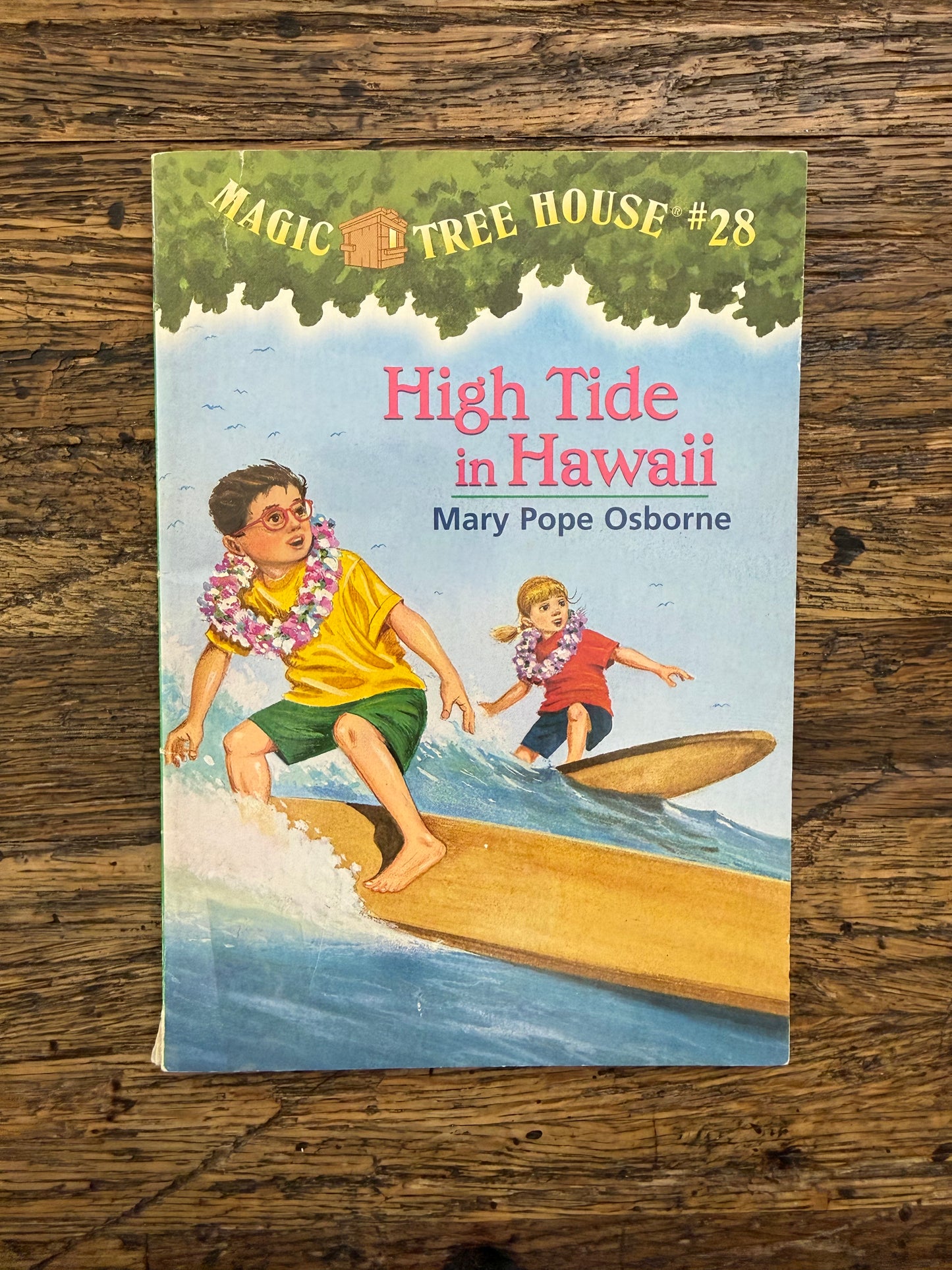 Used - MTH, High Tide In Hawaii