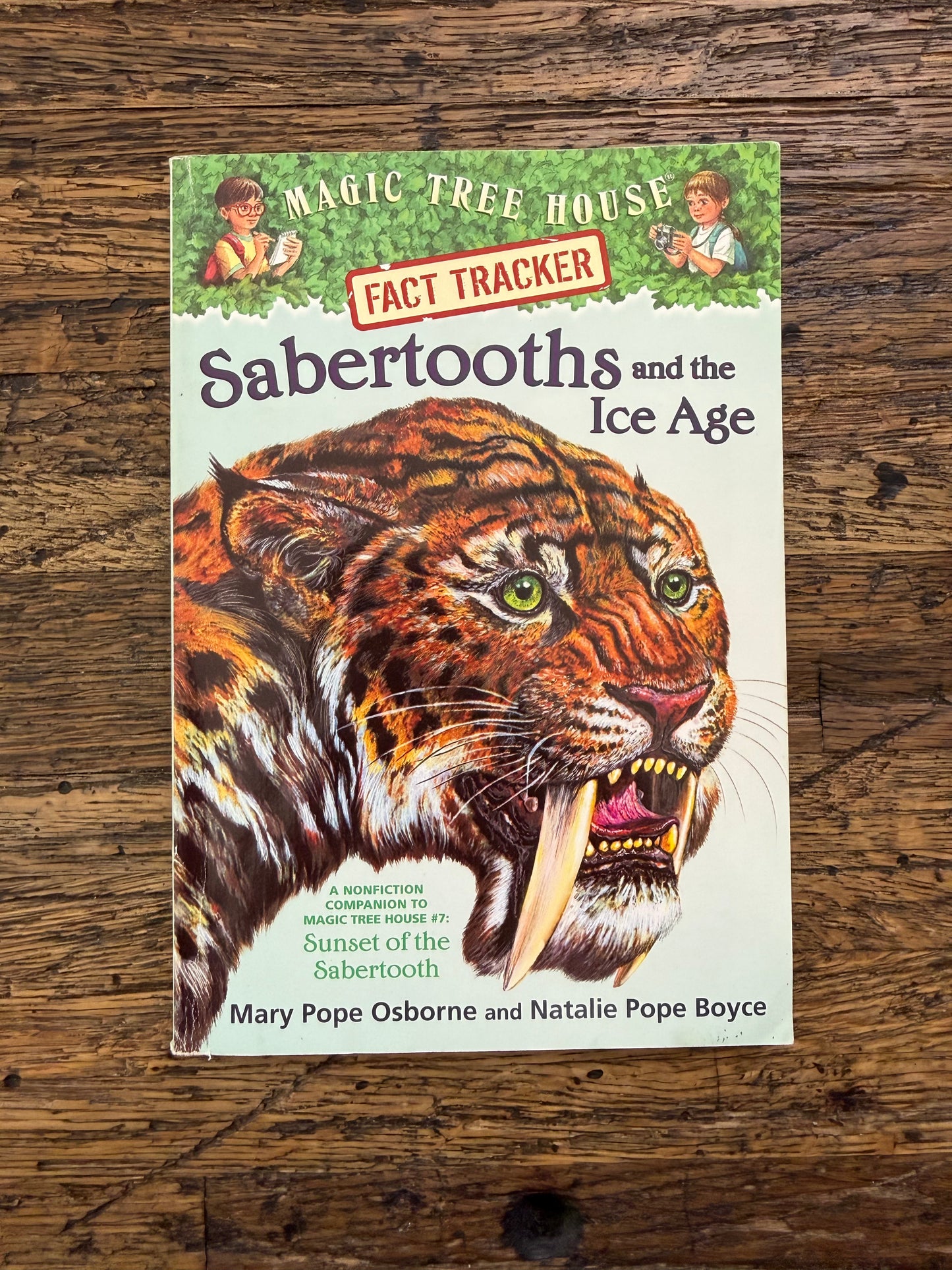Used - MTHFT, Sabertooths And The Ice Age