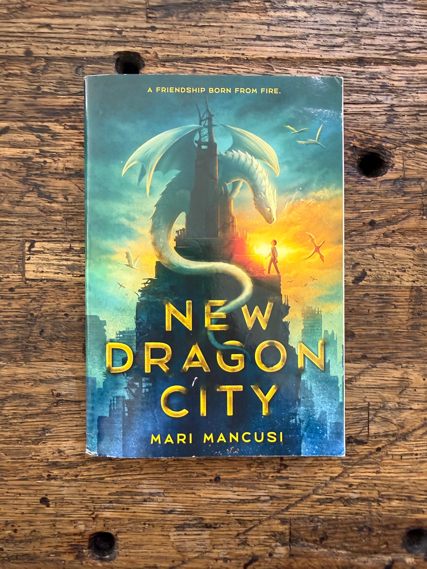 Used - New Dragon City