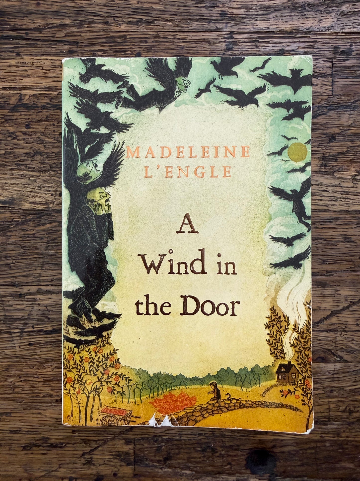 Used - A Wind In The Door