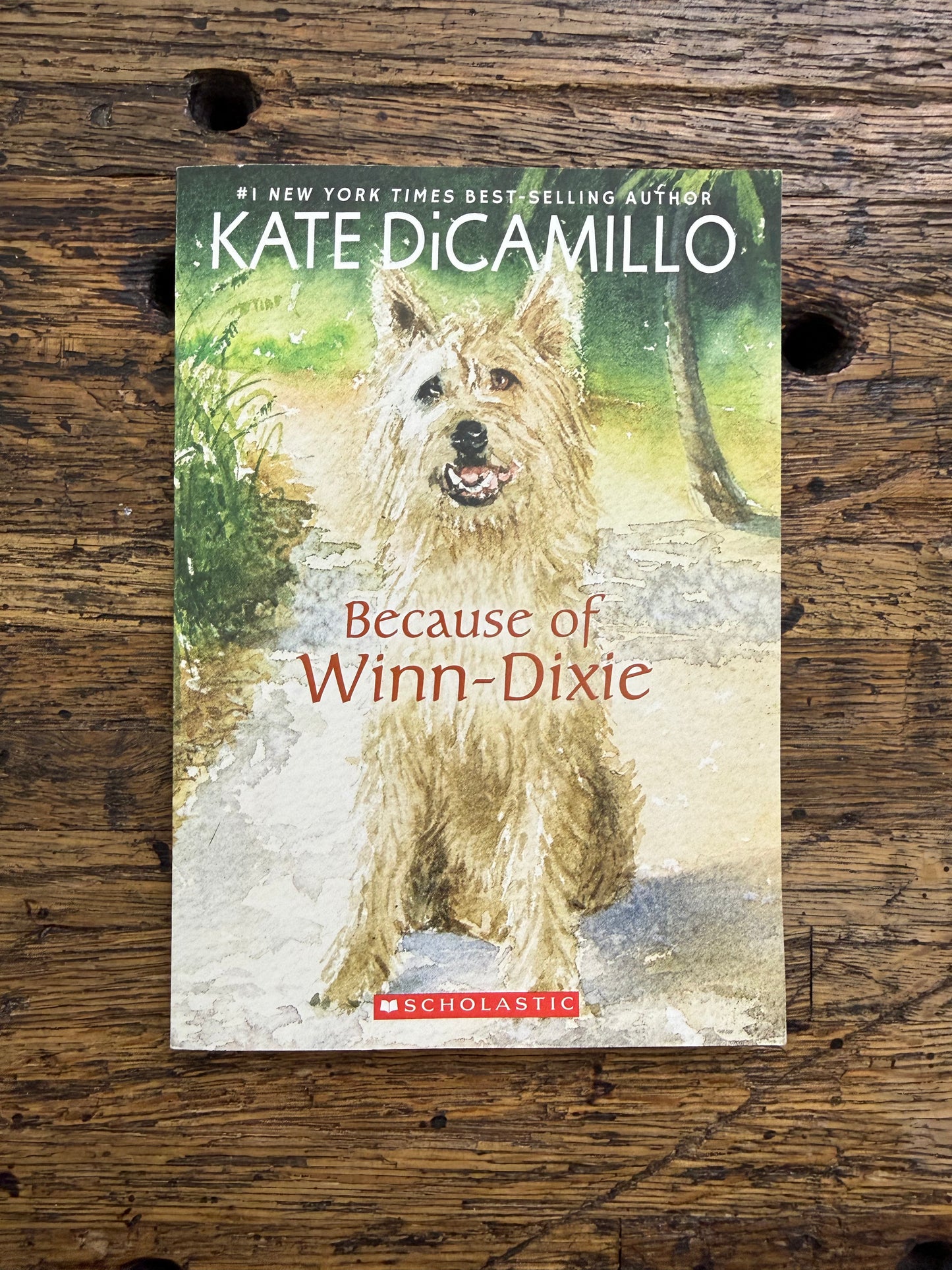 Used - Because Of Winn-Dixie