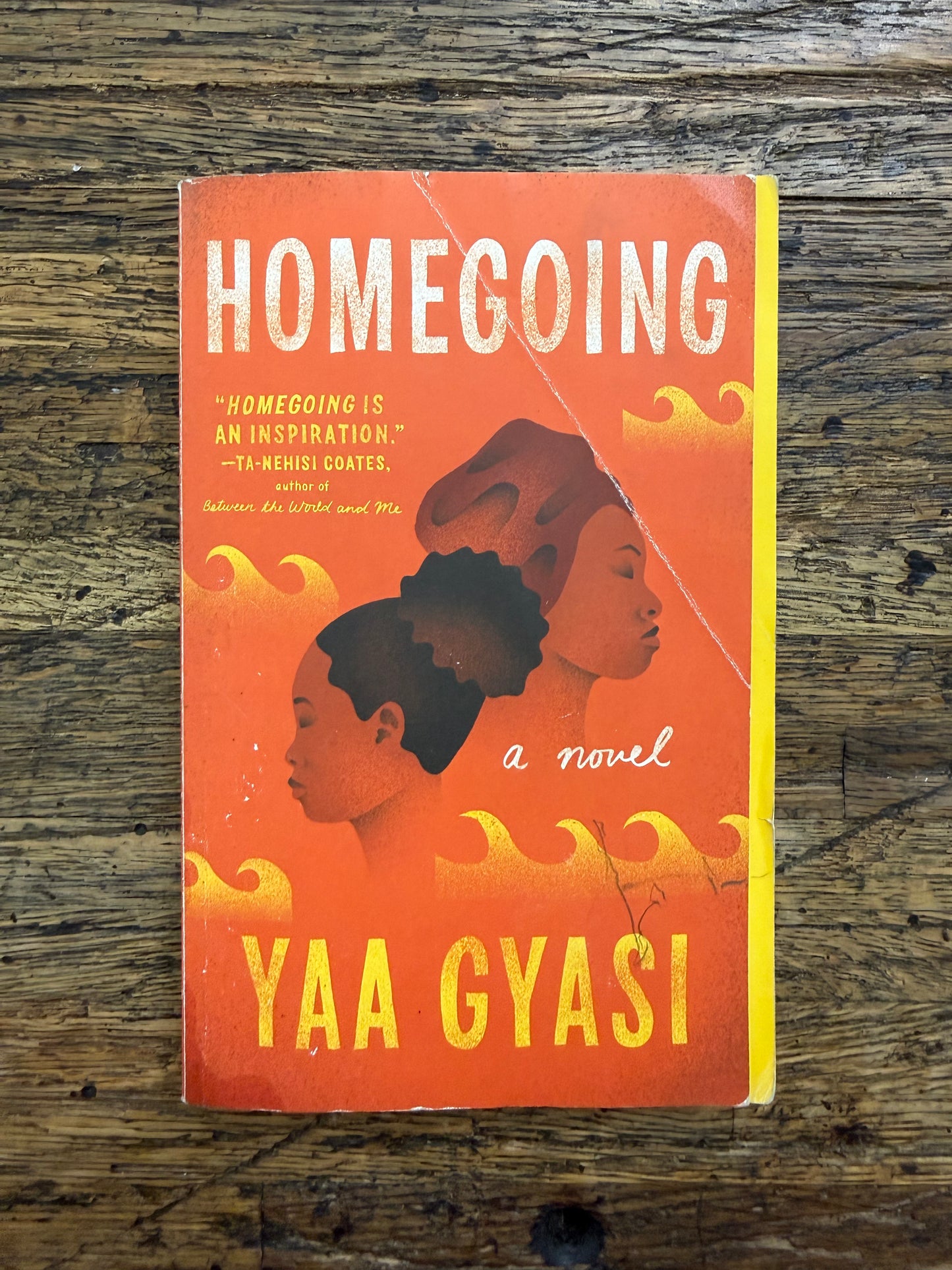 Used - Homegoing