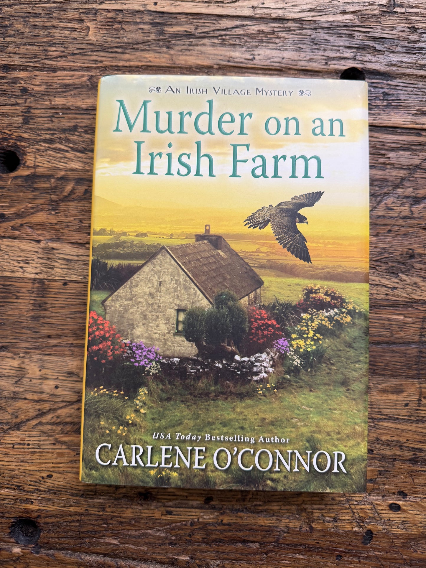 Used - Murder on an Irish Farm