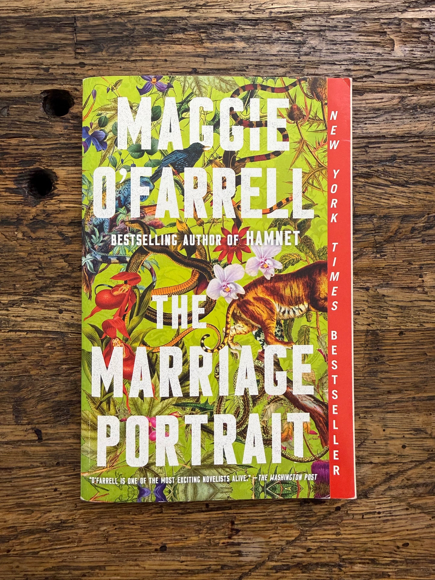 Used - The Marriage Portrait