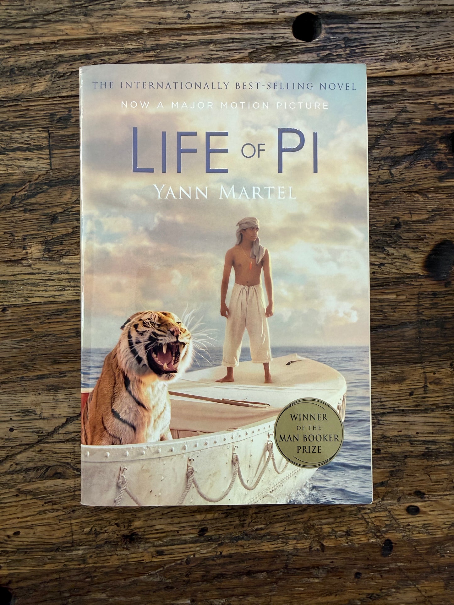 Used - Life Of Pi