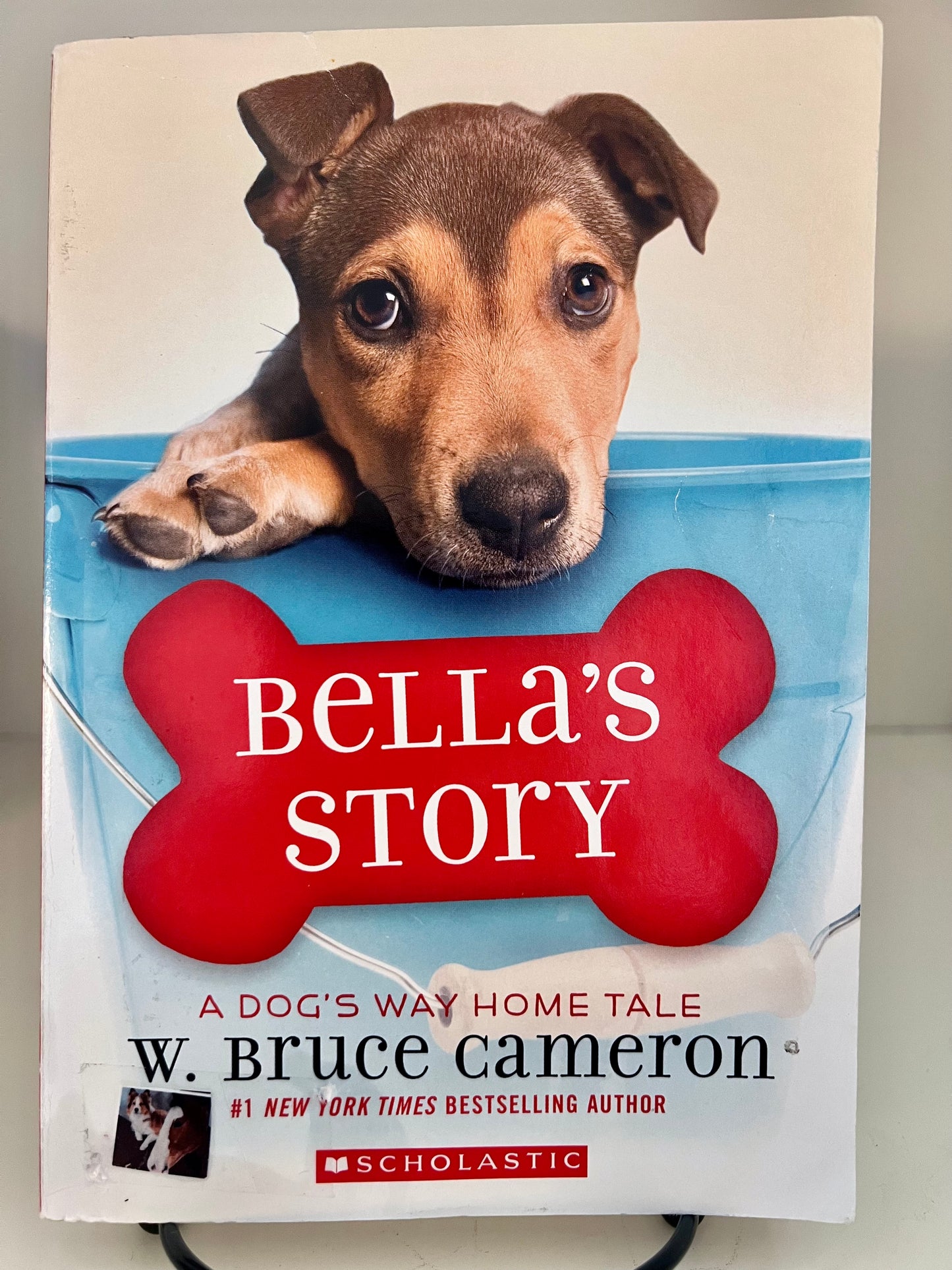 Bella's Story