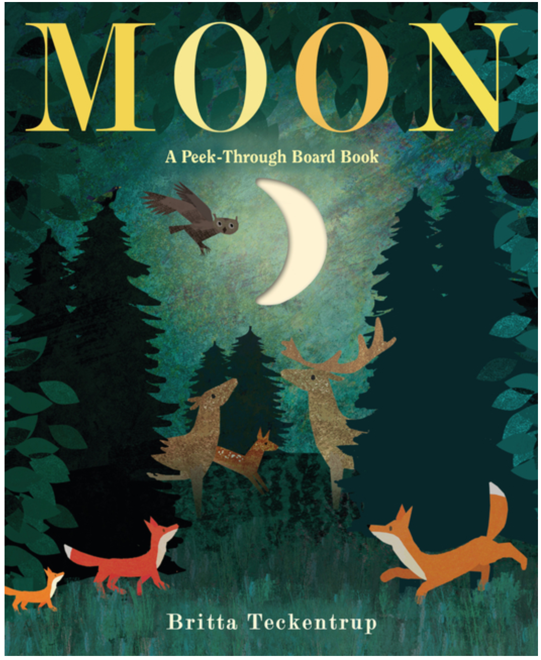 Moon: a Peek Through Book