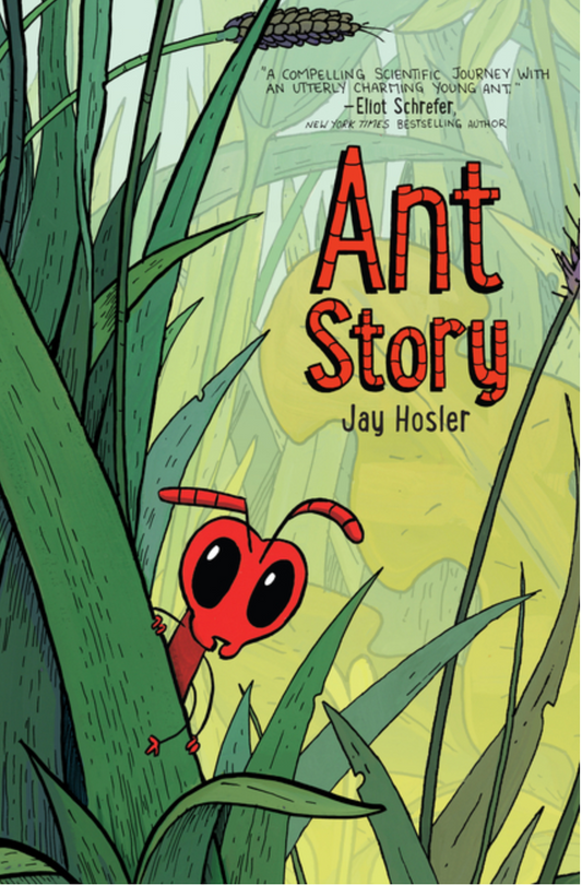 Ant Story