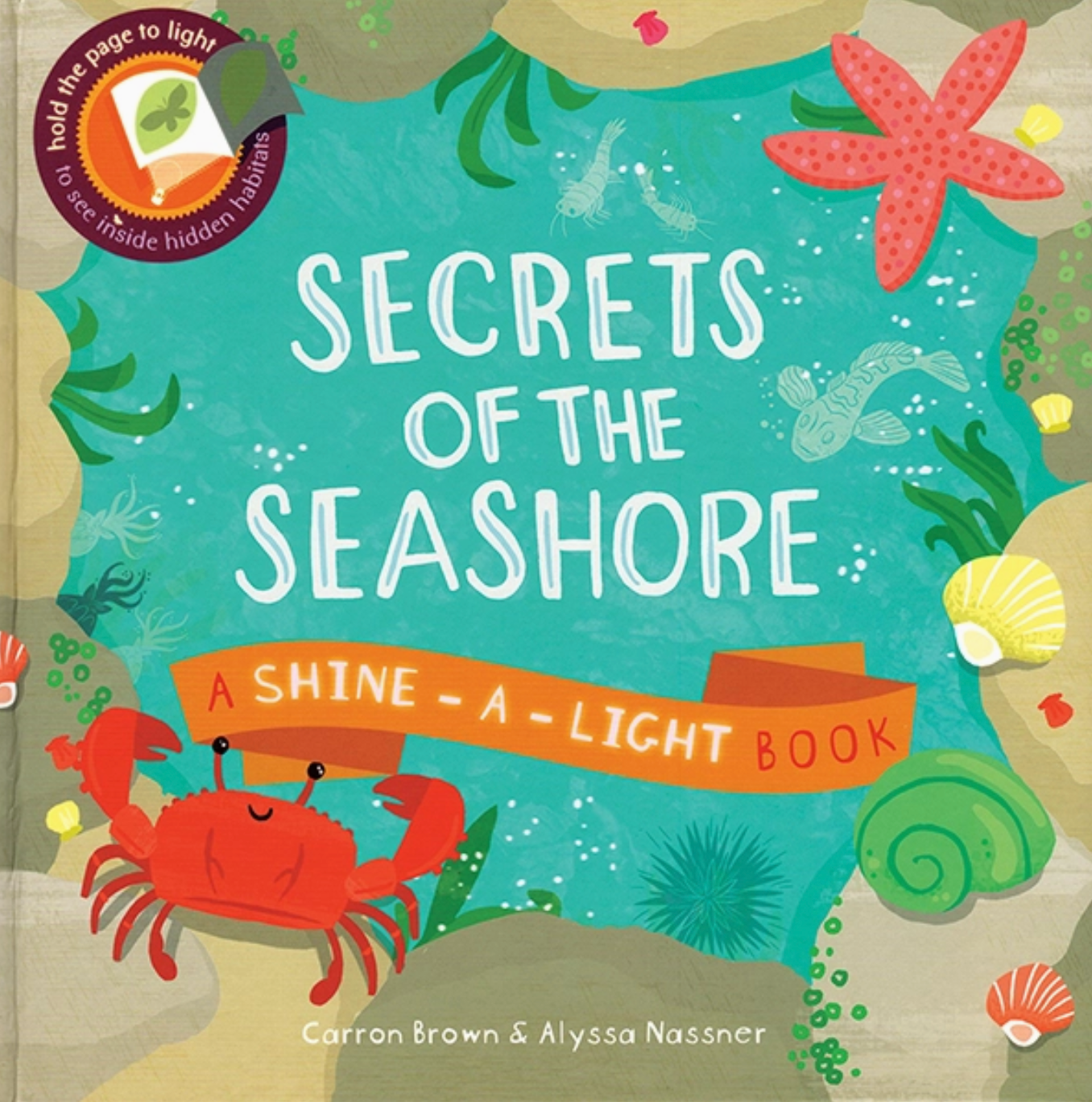 Secrets of the Seashore