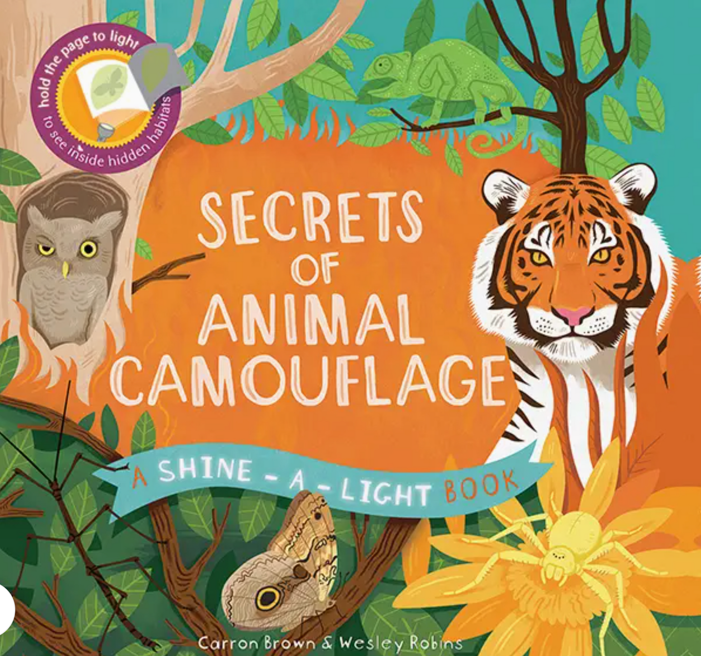 Secrets of Animal Camouflage