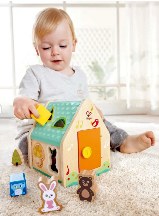 Hape -  Shape Sorter House