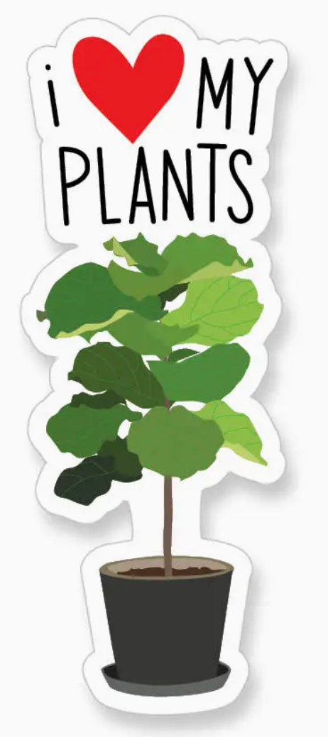 A2 - I Love My Plants