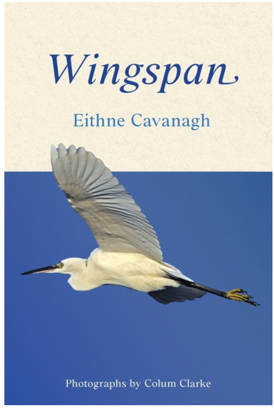 Wingspan
