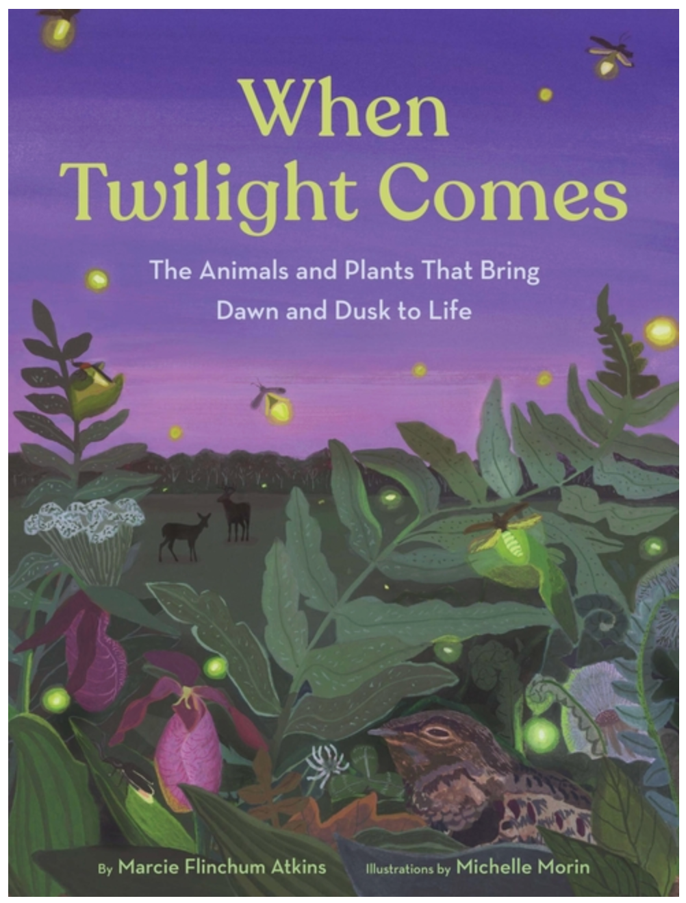 When Twilight Comes: The Animals and Plants That Bring Dawn and Dusk to Life