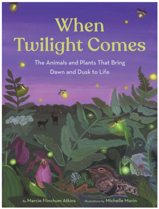 When Twilight Comes