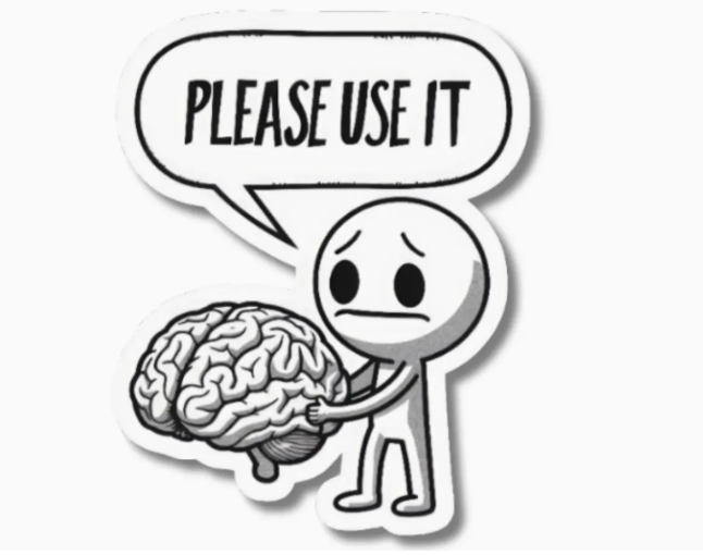 MMT - Funny Please Use It Sticker