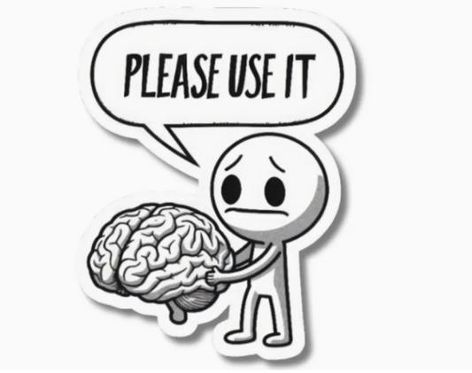 MMT - Funny Please Use It Sticker