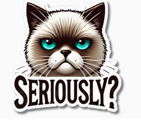MMT - Funny Seriously Cat Sticker