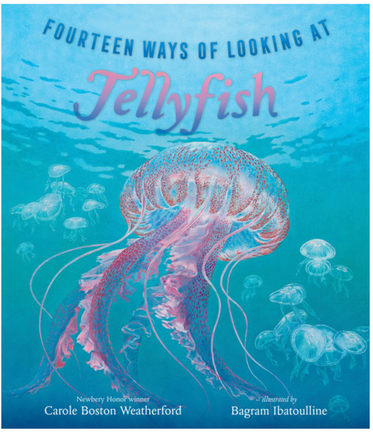 Fourteen Ways of Looking at Jellyfish
