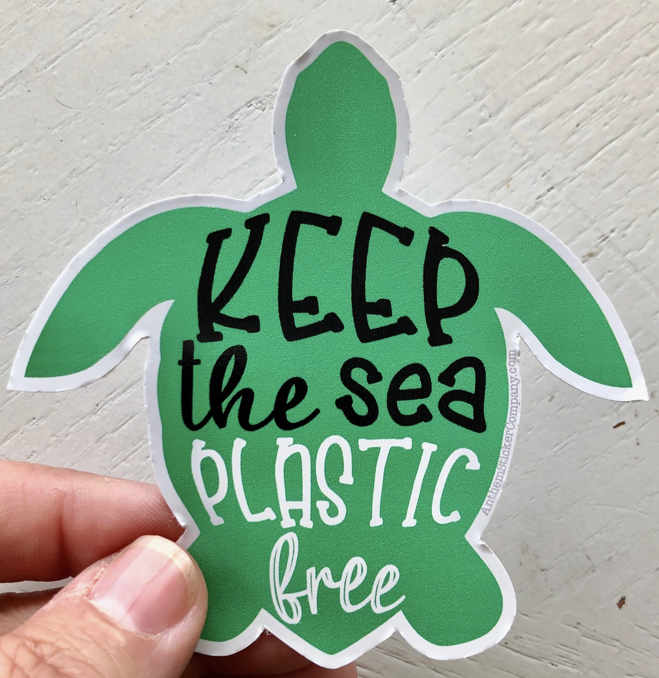 ASC - Keep the Sea Plastic Free Turtle Sticker