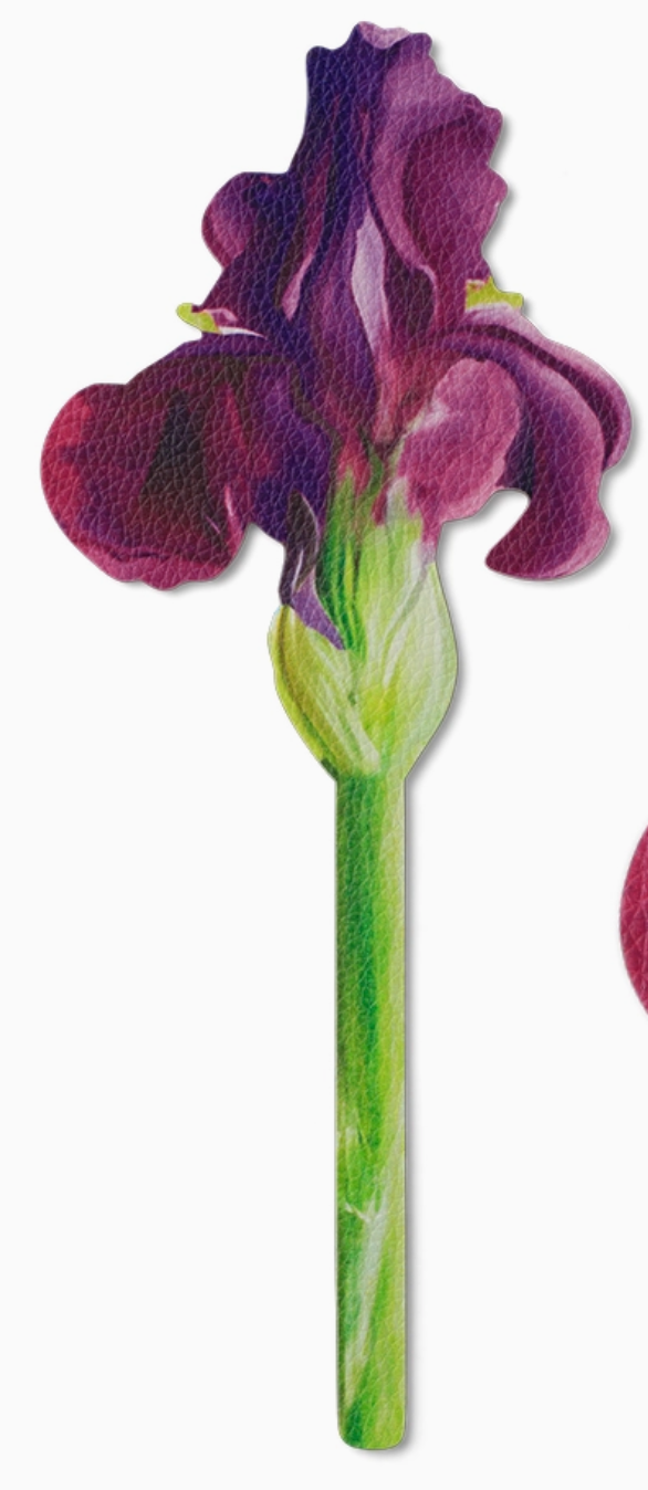 IU. - Flower Bookmarks Painted Iris