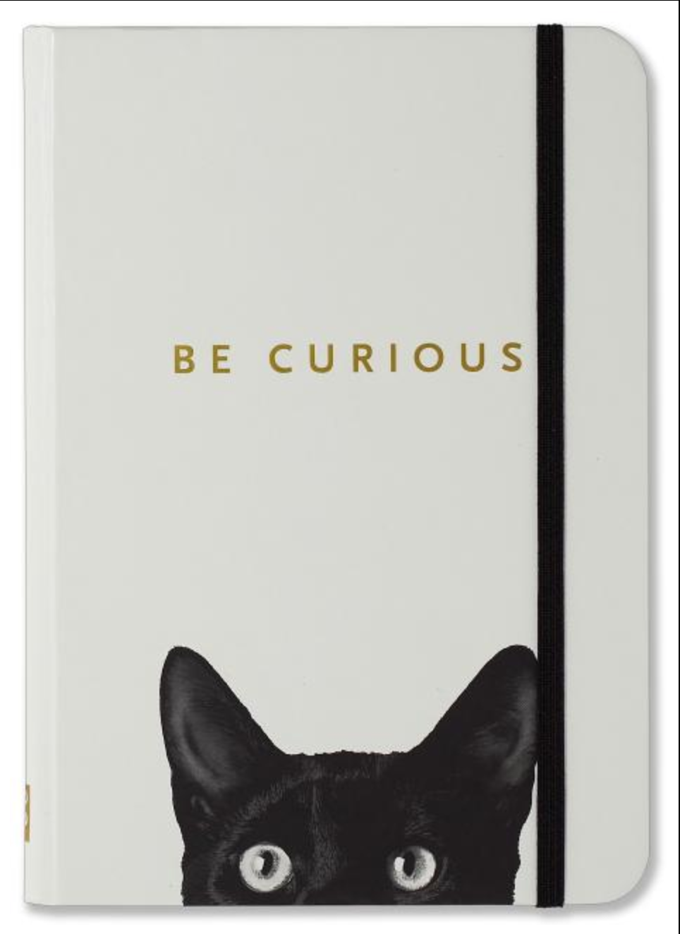 Curious Cat Journal