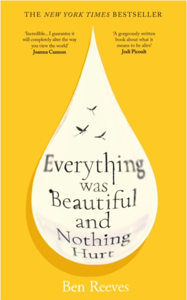 Everything Was Beautiful and Nothing Hurt- UK Edition