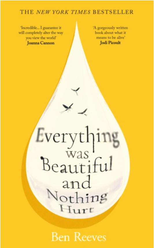 Everything Was Beautiful and Nothing Hurt- UK Edition